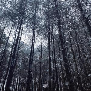 王者女英雄被绳子束手束脚
